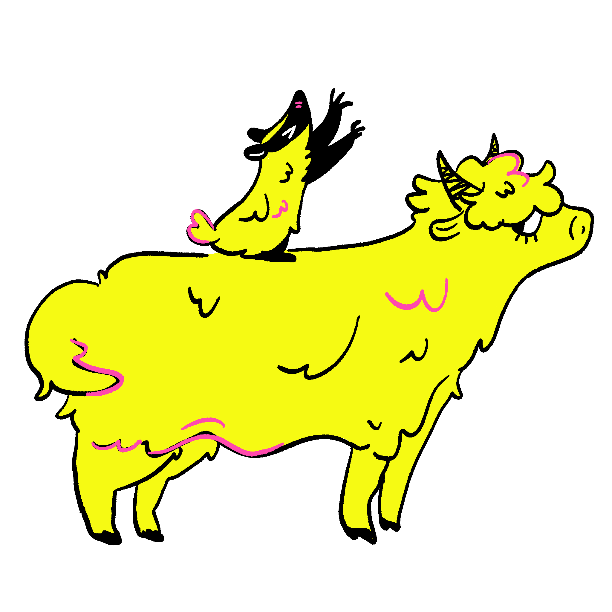 Yellow and Black badger on a yellow ox reaching upward.